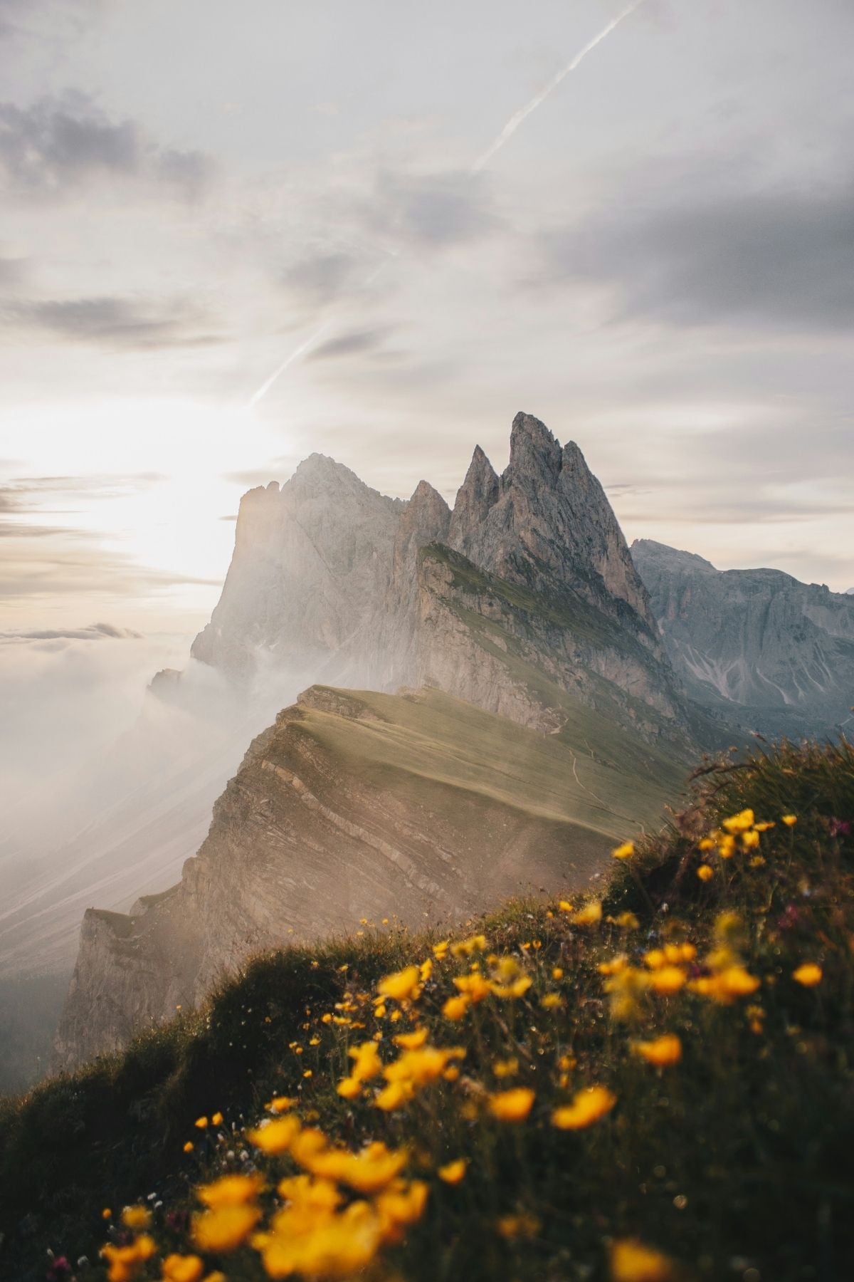 Jagged mountain peaks rise above mist and clouds at sunrise, with vibrant yellow wildflowers in the foreground and soft sunlight illuminating the dramatic landscape.