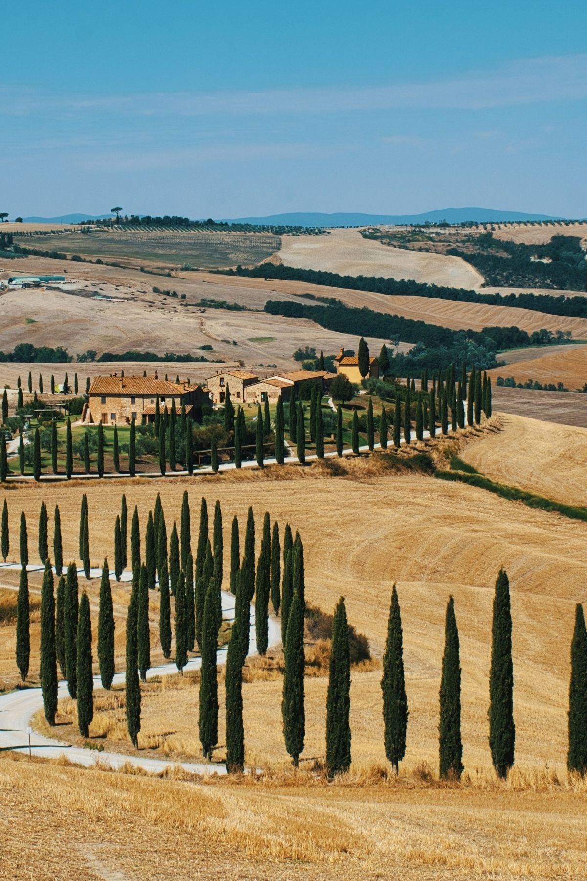 A winding road lined with tall cypress trees leads to a rustic farmhouse surrounded by golden fields and rolling hills under a clear blue sky.