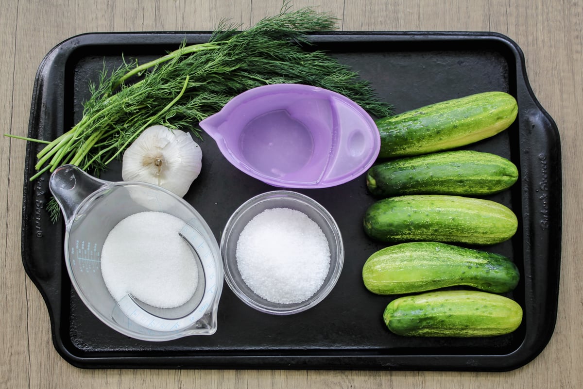 A baking tray holds garlic, fresh dill, four cucumbers, a purple bowl, a measuring cup of sugar, and a bowl of salt, arranged neatly on a wooden surface.