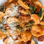 Creamy orecchiette pasta with spinach, sun-dried tomatoes, and grated parmesan cheese on top, served on a white plate with a fork.