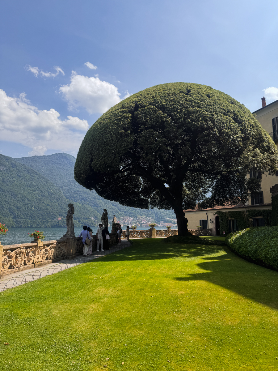 A large, rounded tree casts shade on a manicured lawn by a lake, with mountains in the background. People stand near stone statues along a decorative railing under a sunny sky.